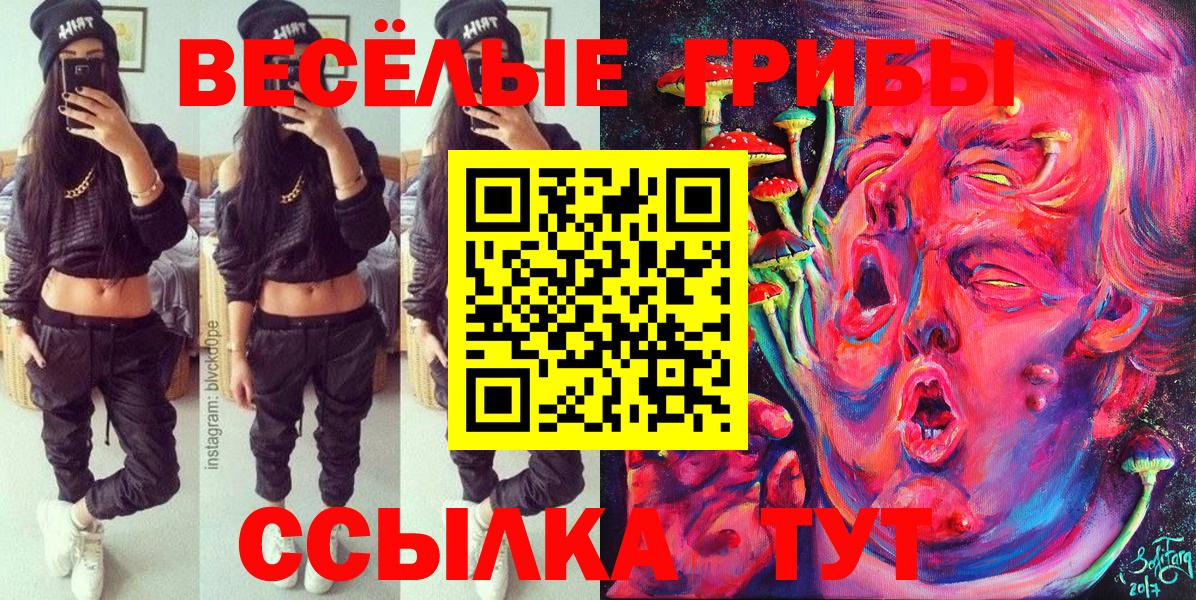 Галлюциногенные грибы Psilocybe Менделеевск