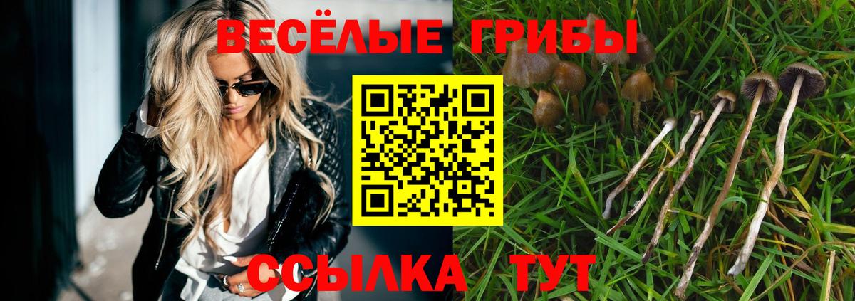 Псилоцибиновые грибы GOLDEN TEACHER  Вход с VPN  Менделеевск  Псилоцибиновые грибы MAGIC MUSHROOMS 