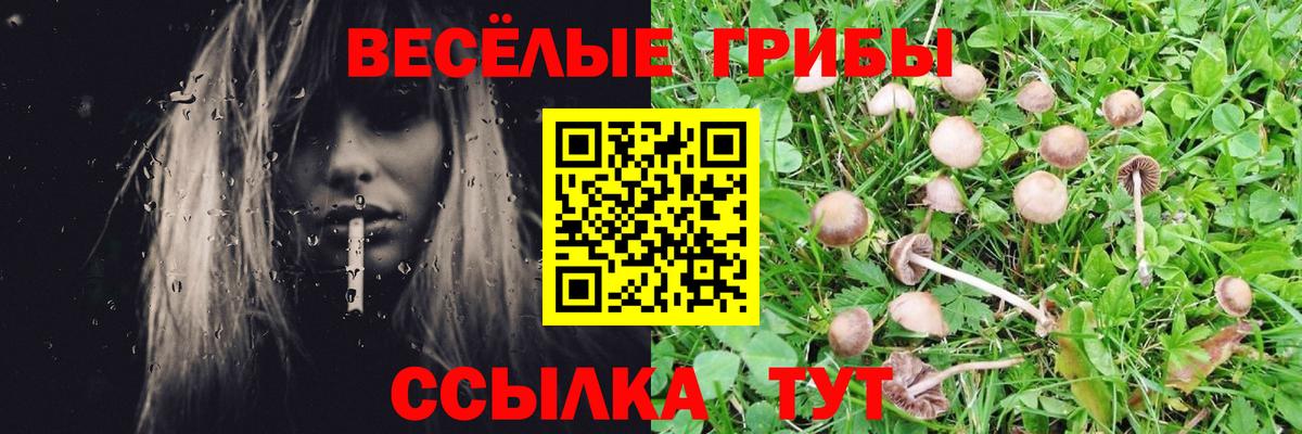 Конопля Менделеевск